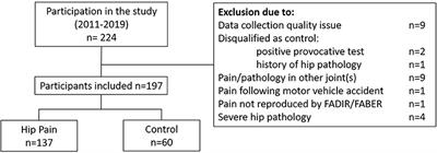 Individuals With Pre-arthritic Hip Pain Walk With Hip Motion Alterations Common in Individuals With Hip OA